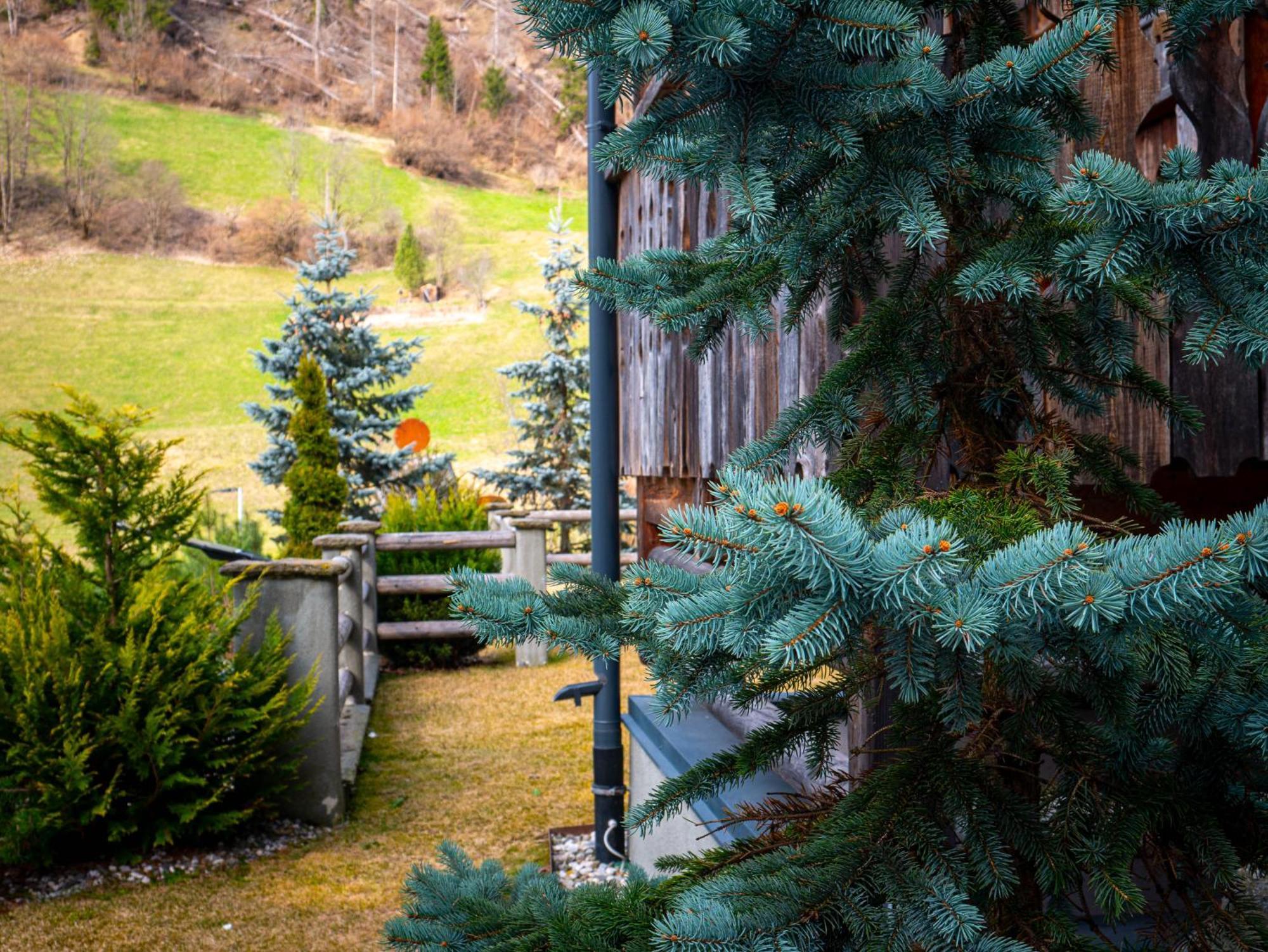 Alpine Mountain Chalet Сан-Виджилио-ди-Мареббе Экстерьер фото